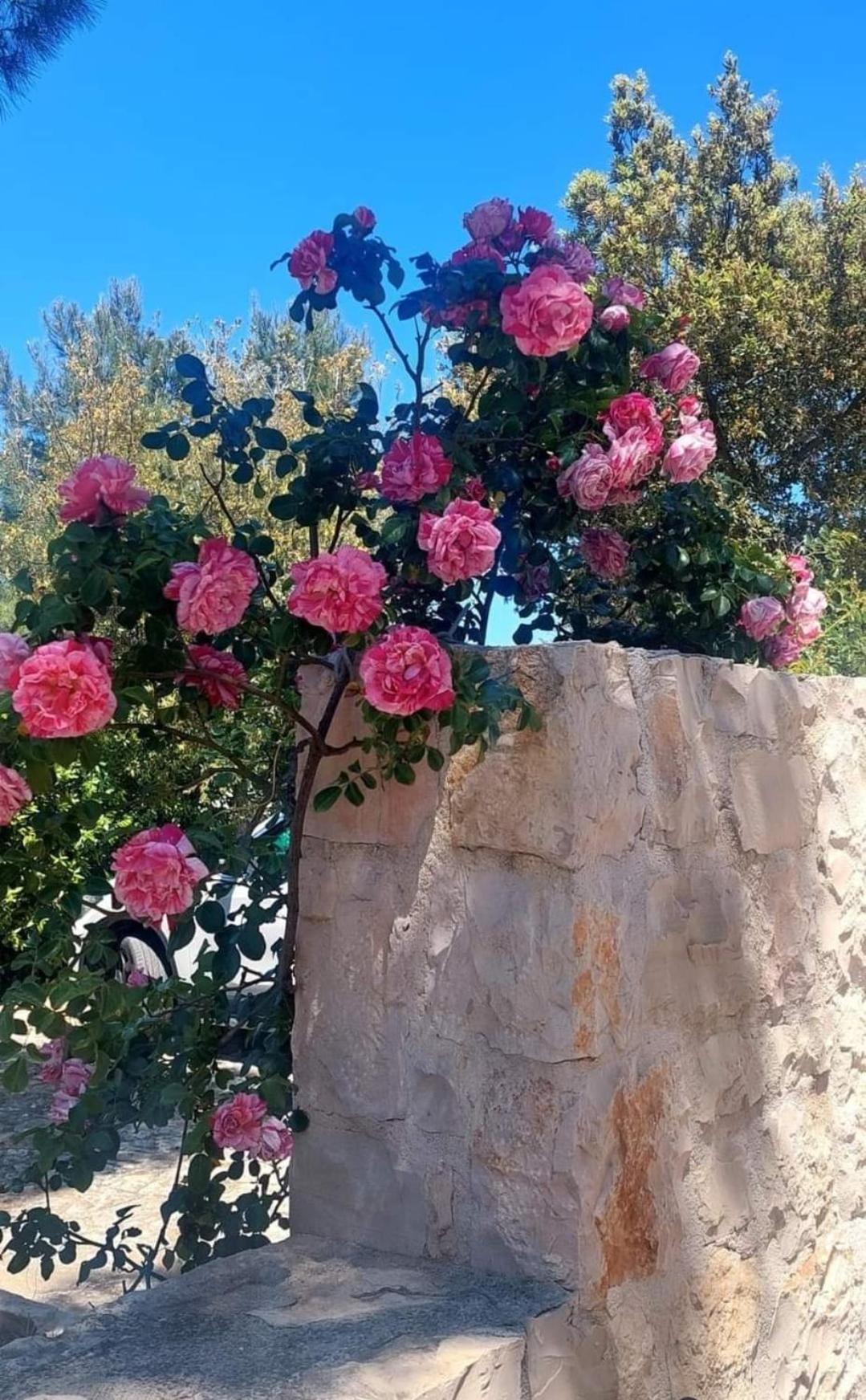Il Trullo Delle Rose, Monopoli By Il Pumo Di Puglia Cozzana Exterior foto