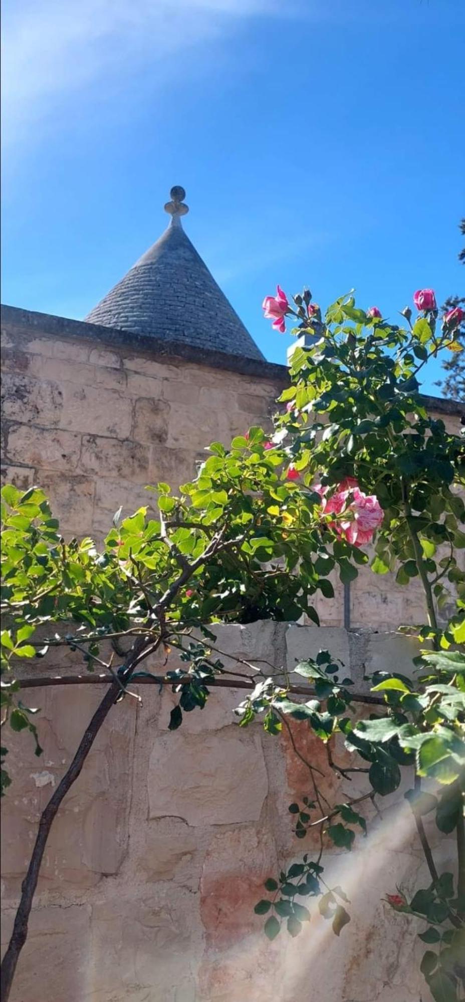 Il Trullo Delle Rose, Monopoli By Il Pumo Di Puglia Cozzana Exterior foto